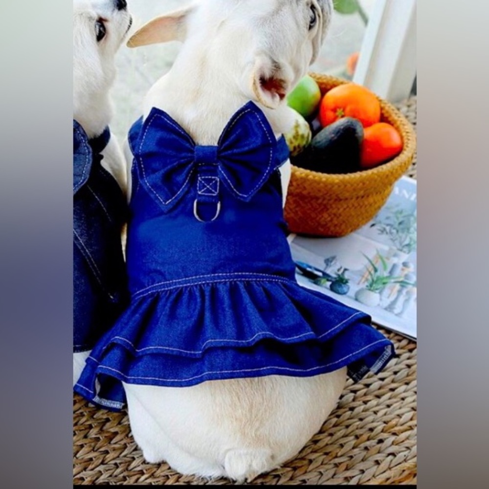 Luxury Denim Dress Dog Harness Frill Bow Rhinestone Ruffle Vest Girl XXL NWT